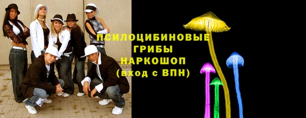 стаф Абинск