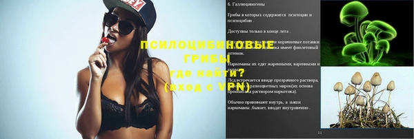 крисы Нея