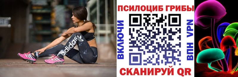 Галлюциногенные грибы ЛСД  продажа наркотиков  Темников 